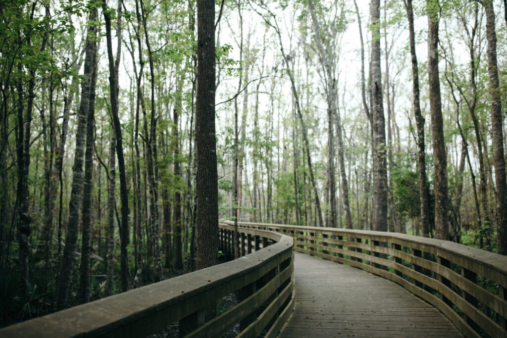 10 Best Neighborhoods to Live in Bluffton, SC