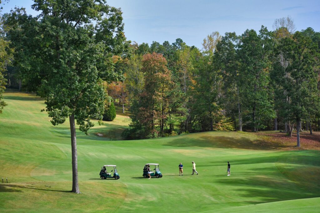 green grass field with trees in a golf course