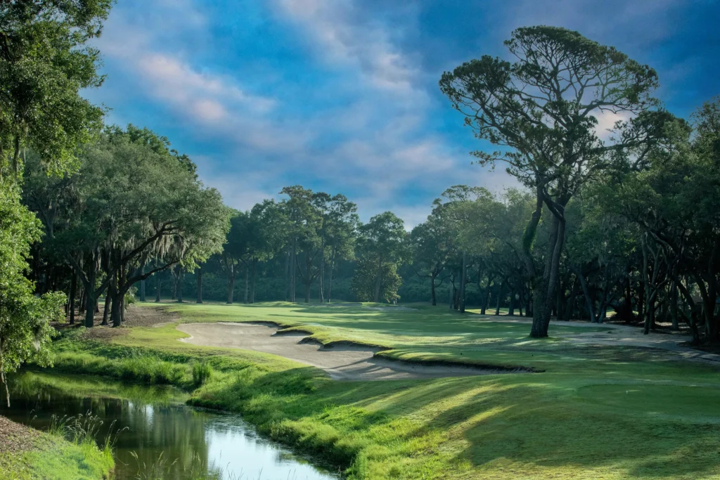 view of a golf course surrounded by trees during daytime